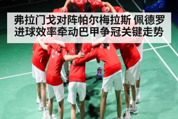 弗拉门戈对阵帕尔梅拉斯 佩德罗进球效率牵动巴甲争冠关键走势 - kayun